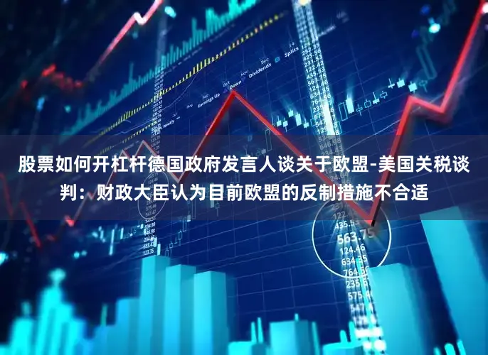 股票如何开杠杆德国政府发言人谈关于欧盟-美国关税谈判：财政大臣认为目前欧盟的反制措施不合适