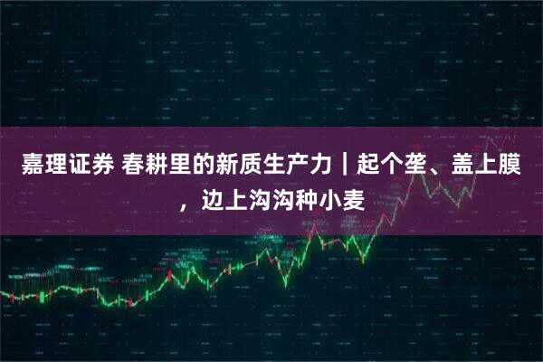 嘉理证券 春耕里的新质生产力｜起个垄、盖上膜，边上沟沟种小麦