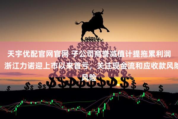 天宇优配官网官网 子公司商誉减值计提拖累利润，浙江力诺迎上市以来首亏，关注现金流和应收款风险