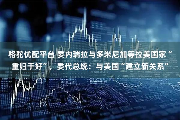 骆驼优配平台 委内瑞拉与多米尼加等拉美国家“重归于好”，委代总统：与美国“建立新关系”