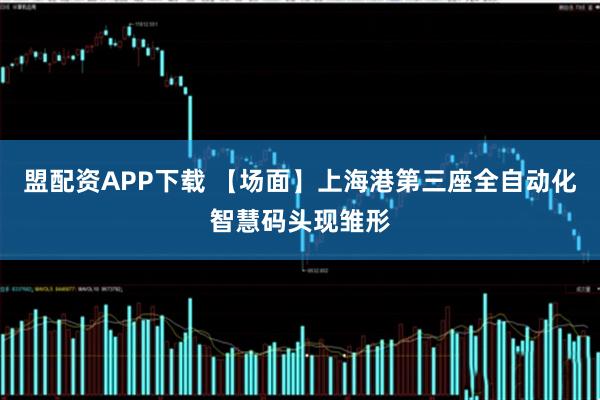 盟配资APP下载 【场面】上海港第三座全自动化智慧码头现雏形